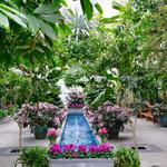 United States Botanic Garden