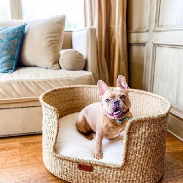 Dog Bed, Handmade Dog Bed, Dog Lounger, Dog Seat, Puppy Bed, Basket Dog Bed, Dog Basket & Cushion