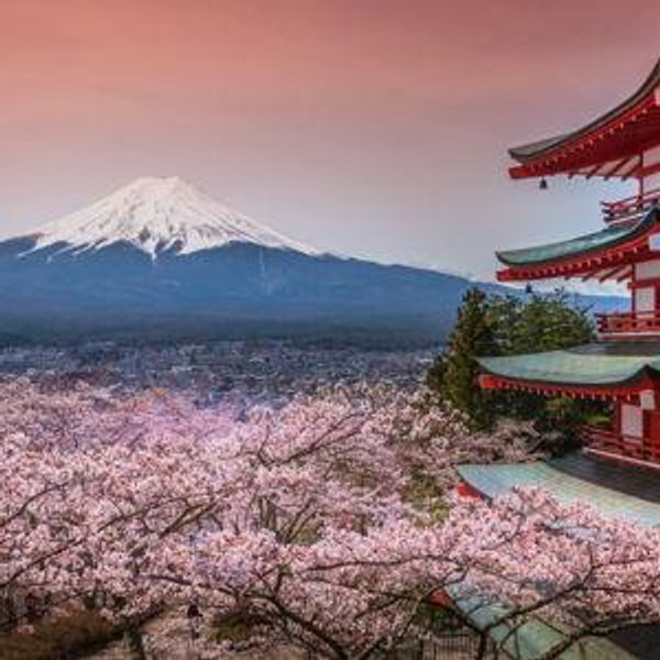 Honeymoon in Japan