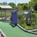Effingham Mini Golf