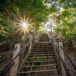 Mount Baldhead