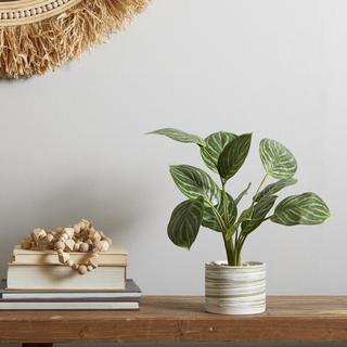 Artificial Calathea Plant & Patterned Pot Set