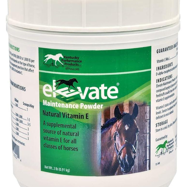 KENTUCKY PERFORMANCE PROD 044097 Elevate Maintenance Powder Supplement for Horses, 2 lb