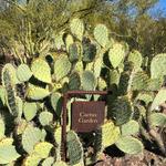 Arizona-Sonora Desert Museum 🐻