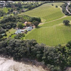 Wine Tasting For Two: Goldie Estate on Waiheke Island