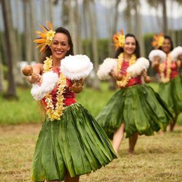 Luau experience