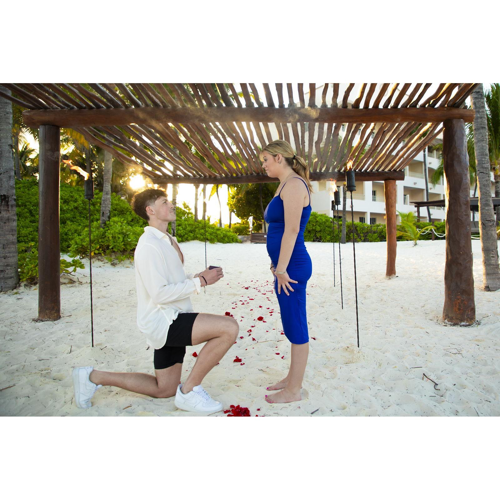 The proposal pt.2