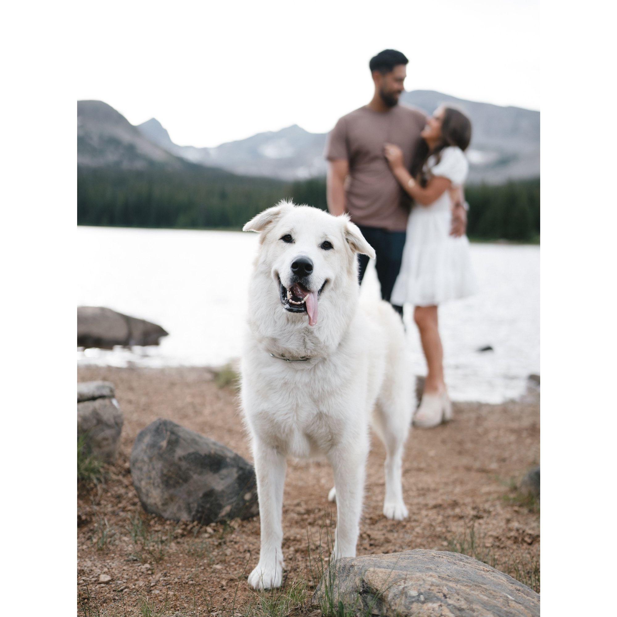 Engagement shoot
