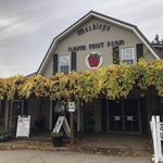 Meckley’s Flavor Fruit Farm