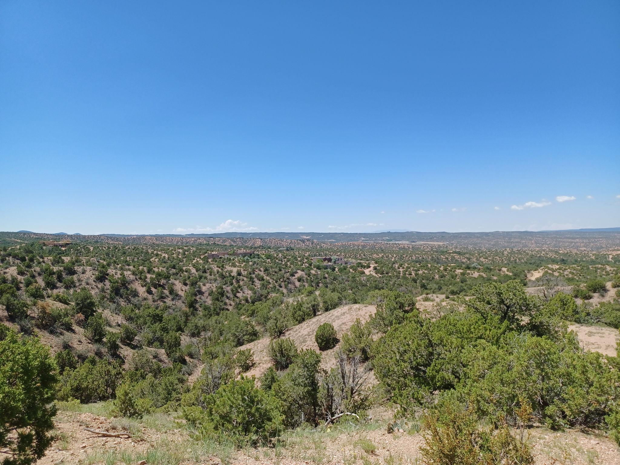 The Wedding Website of Dahlia Bushwick and Ben Miller