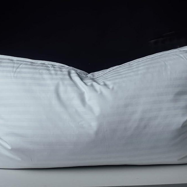 Eastwarmth Goose Down Feather Soft Pillows One Pack 100% Cotton Supportive Bed Pillow Stripe White Color King Size 20x36 inch