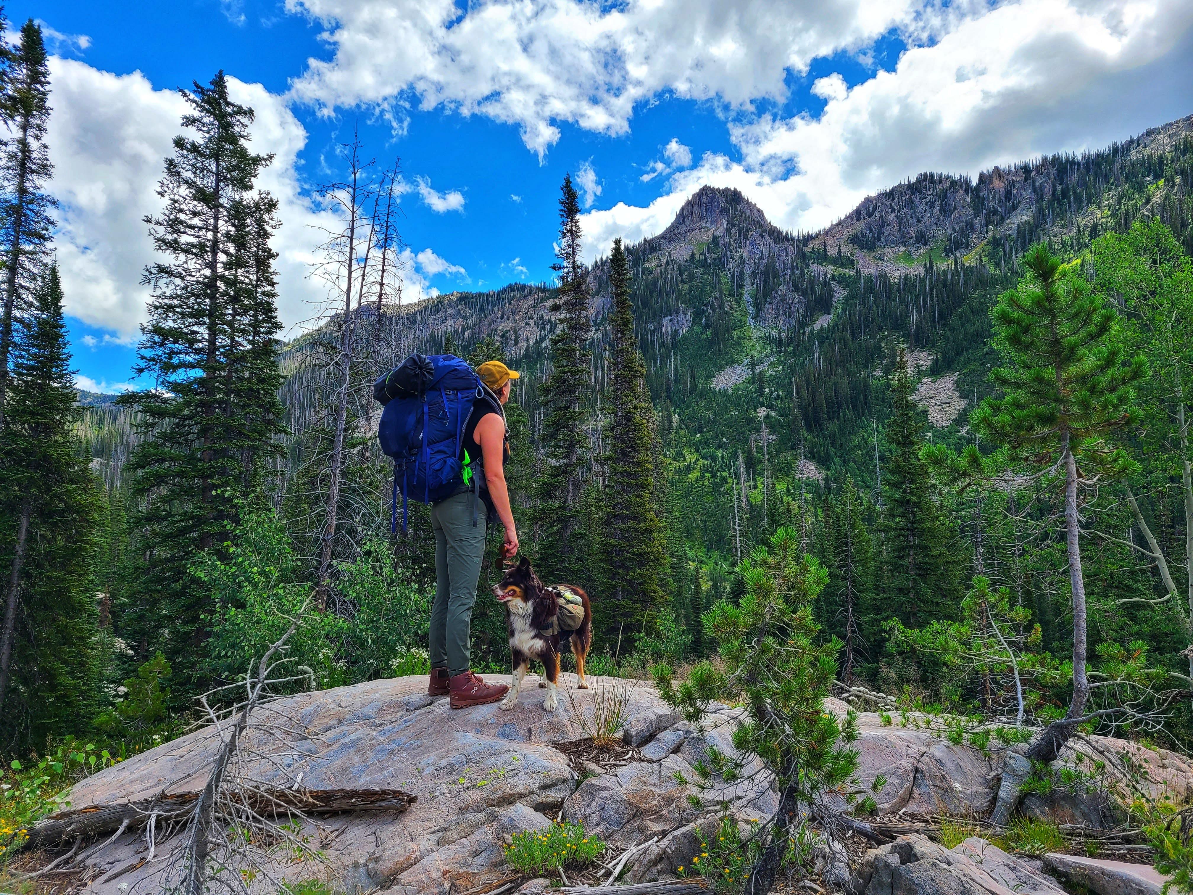 The Wedding Website of Logan Anderson and Vanessa Wolfe