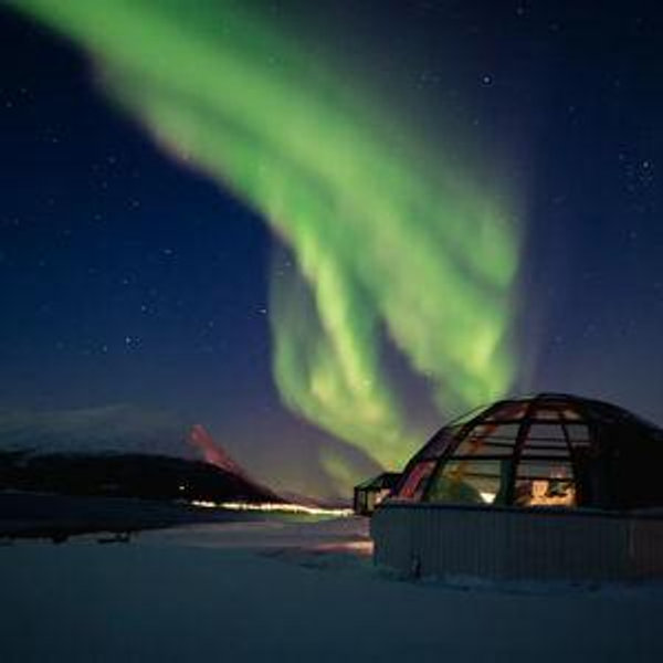 Nordic Honeymood Fund