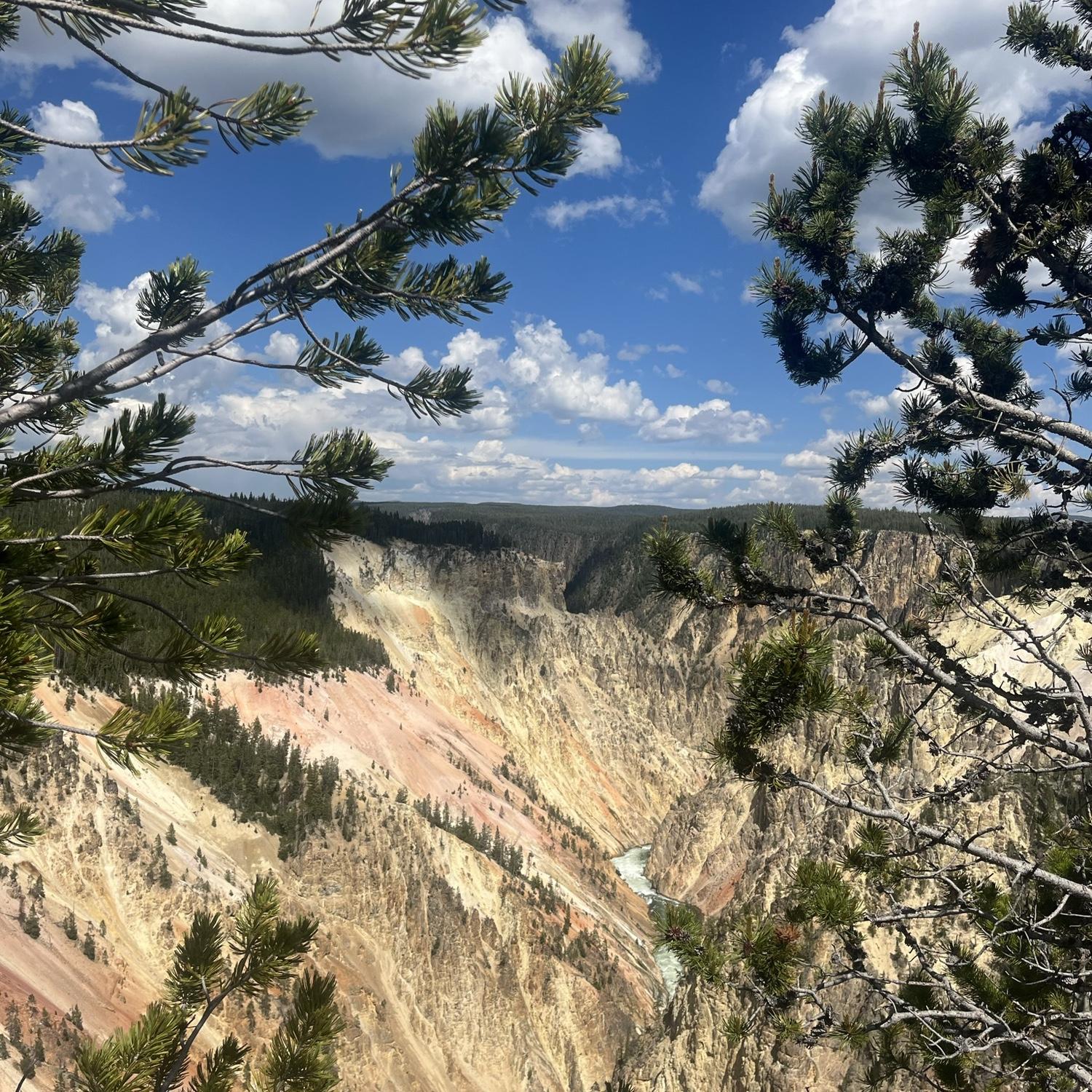 Artist Point - The Grand Canyon of Yellowstone