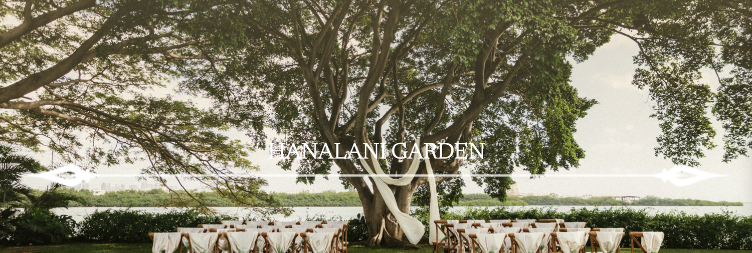 The Wedding Website of Mayra Hernandez and Osvaldo Fonseca