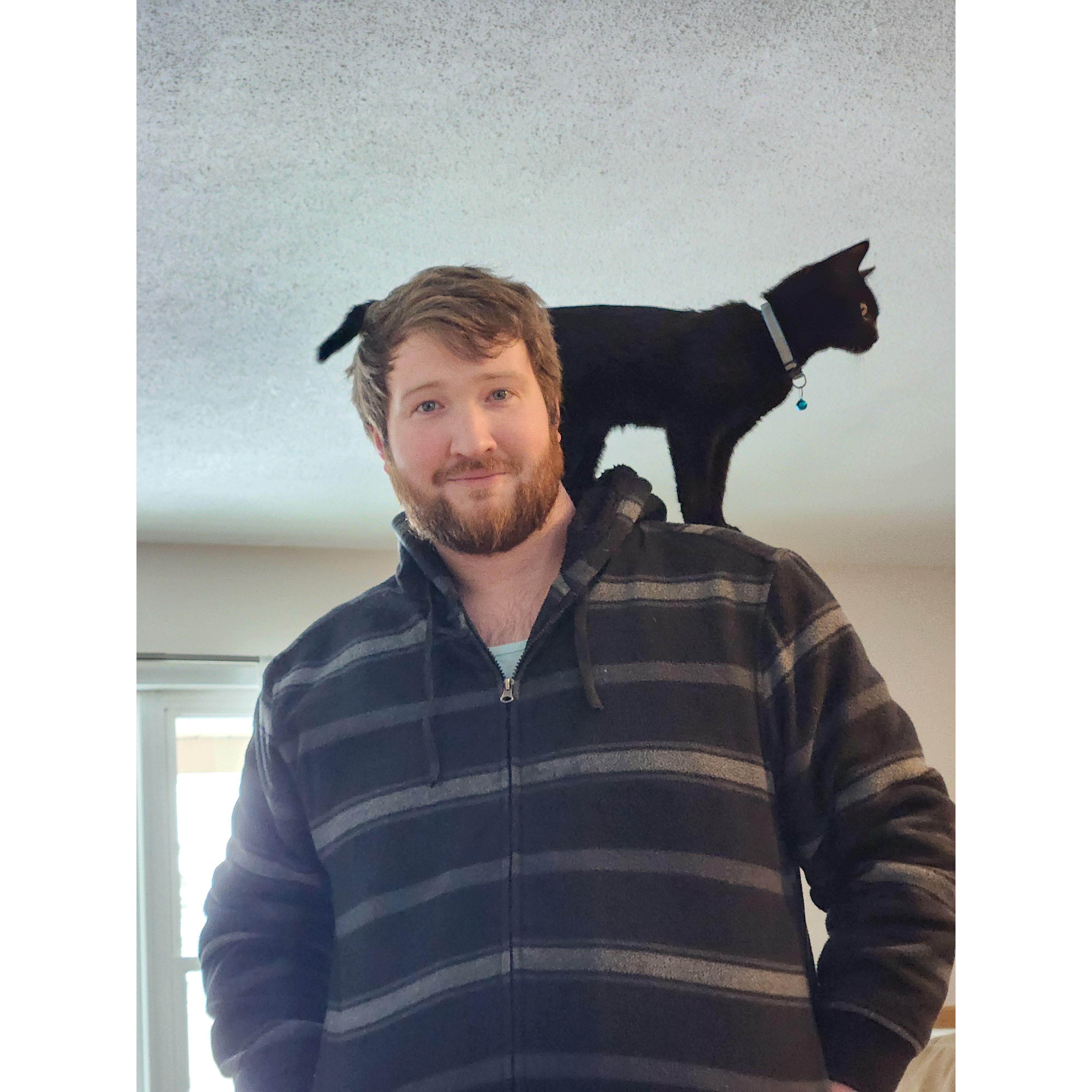 Always the shoulder cat, Alphonse.
