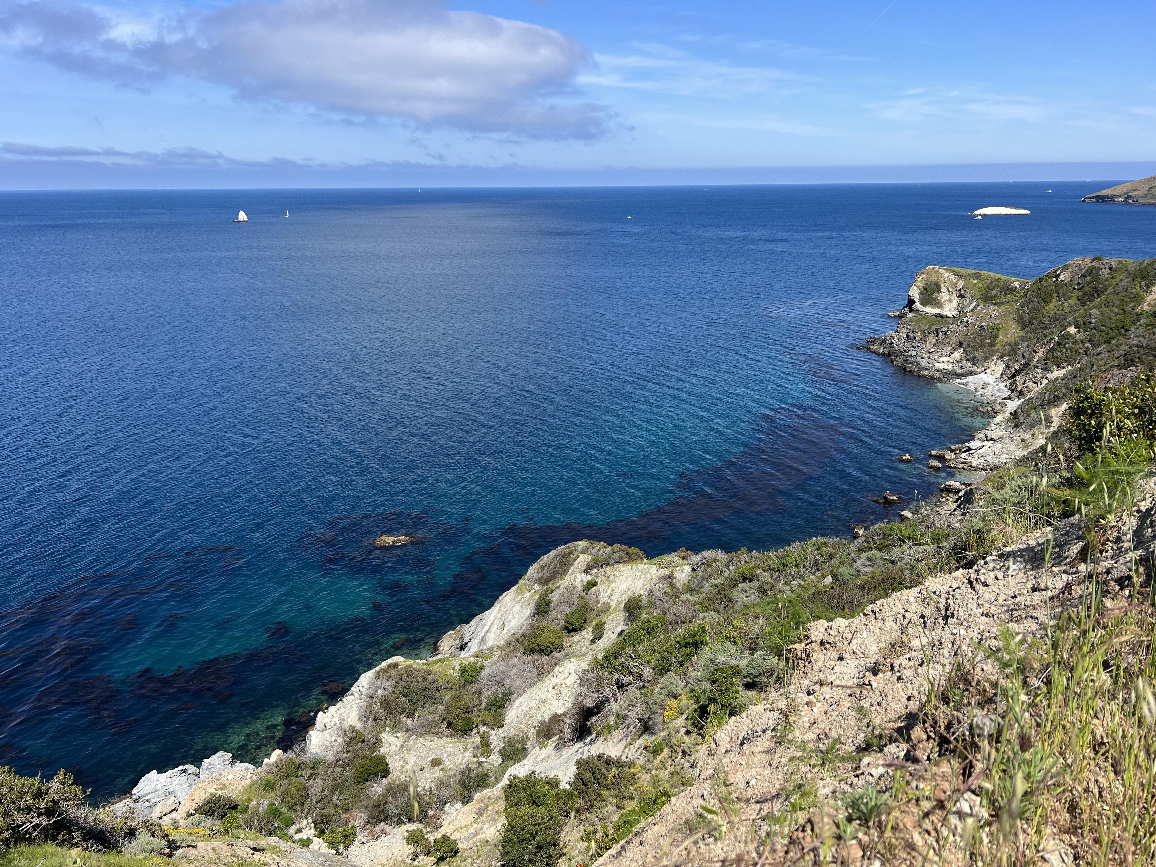 The Wedding Website of Matt Nickel and Taylor Nickel