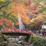 Minoh Falls
