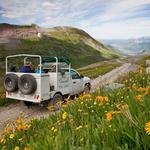 Guided Vehicle Tours