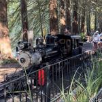 Tilden Park Steam Train at the Redwood Valley Railway