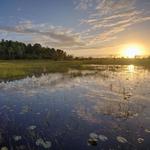 Split Oak Forest Wildlife and Environmental Area