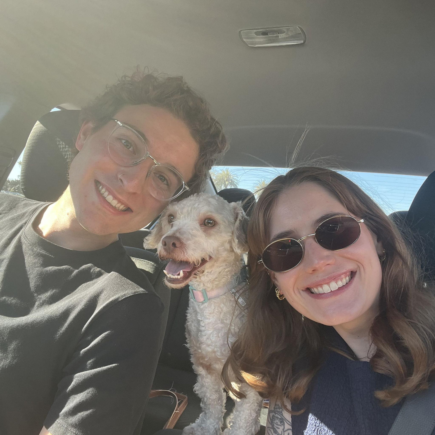 Goose's Adoption Day (2026)