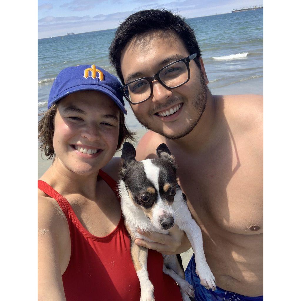 Rosies Dog Beach, Long Beach, CA, 2022.