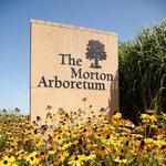 The Morton Arboretum