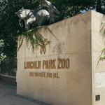 Lincoln Park Zoo