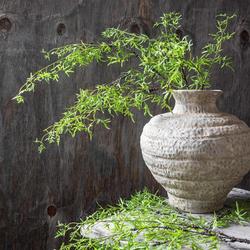 Abigail Ahern, Artificial Fern Branch Stem, Set of 2 | Zola