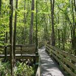 Six Mile Cypress Slough Preserve