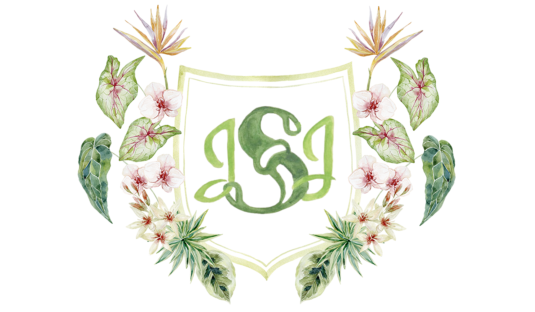 Footer image