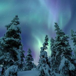 Northen Lights Adventure