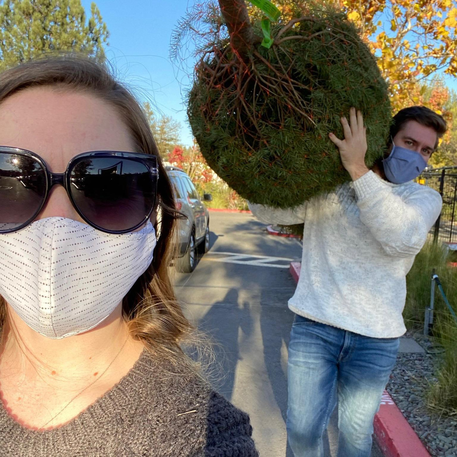 Getting our first Christmas tree together!