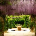 Idaho Botanical Garden