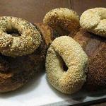 Back Pocket Bakery