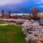 Tom McCall Waterfront Park