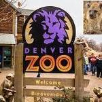 Denver Zoo