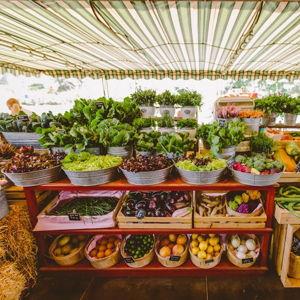 Dinner for Two at Flora Farms