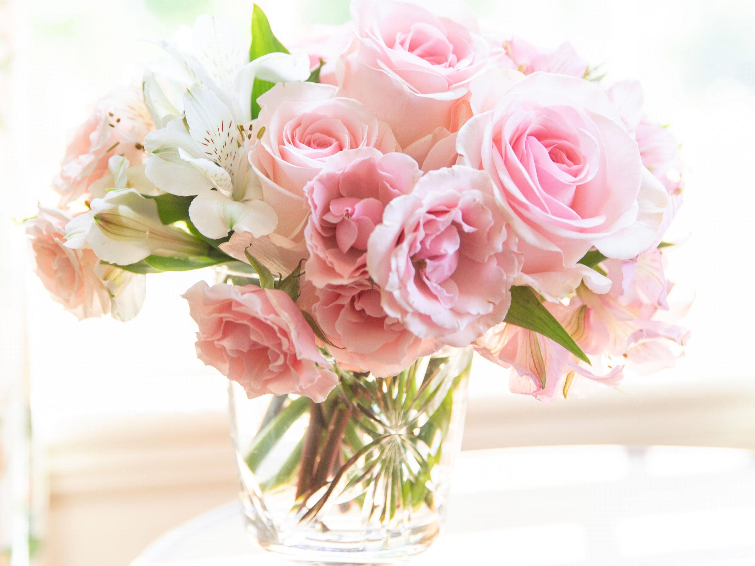 The Wedding Website of Jordan Bray and Frazer McCurdy