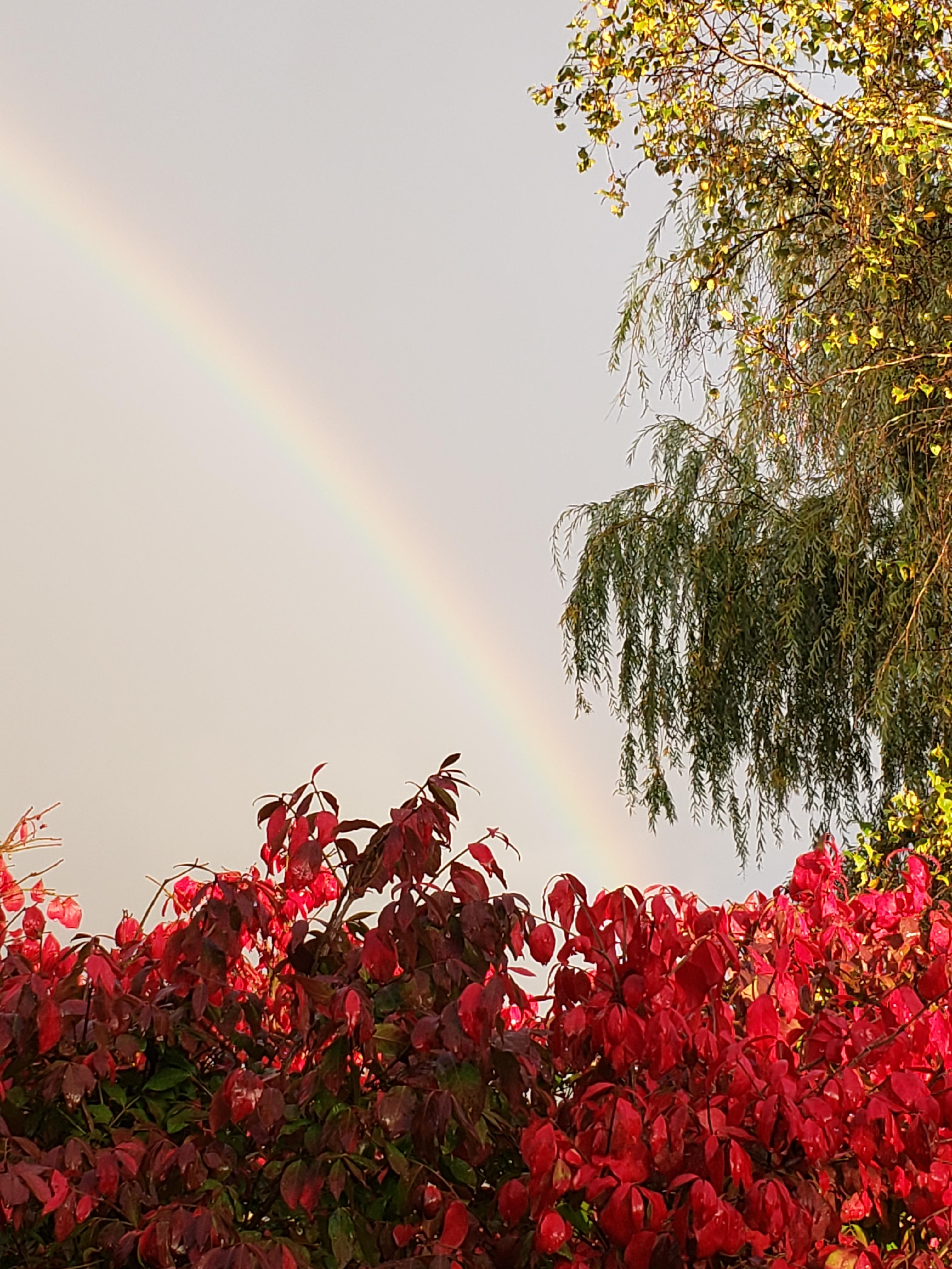 The Wedding Website of Deena Smith and Michael Walker