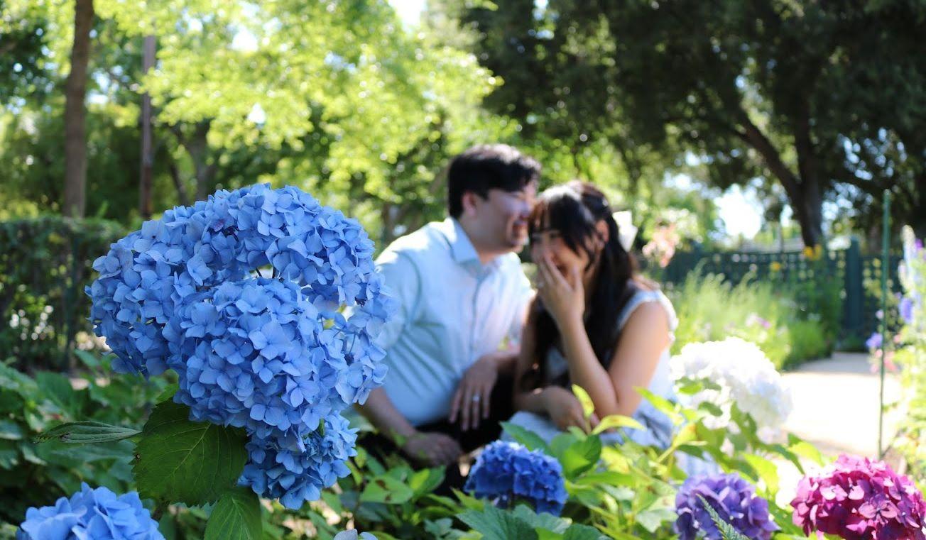 Hero Slideshow Image 3