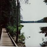 Trillium Lake Loop