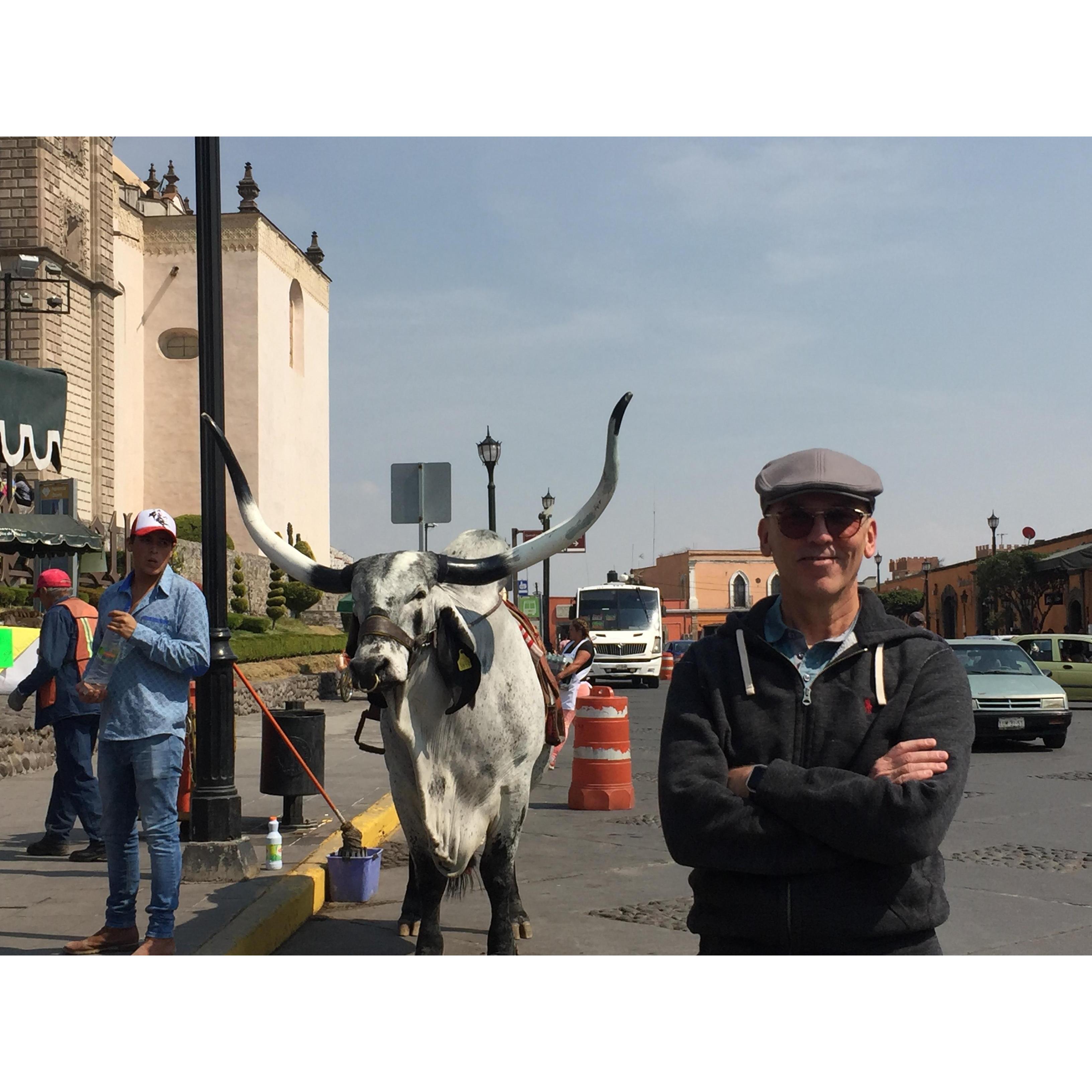 En Tepotzotlan con un long-horn mexicano!