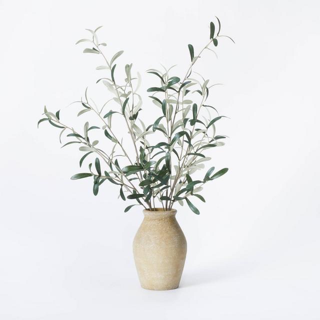 Olive Potted Arrangement - Threshold™ designed with Studio McGee
