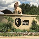 Lion & Safari Park