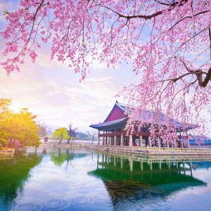 South Korea Wild Card! Tell us where to go!