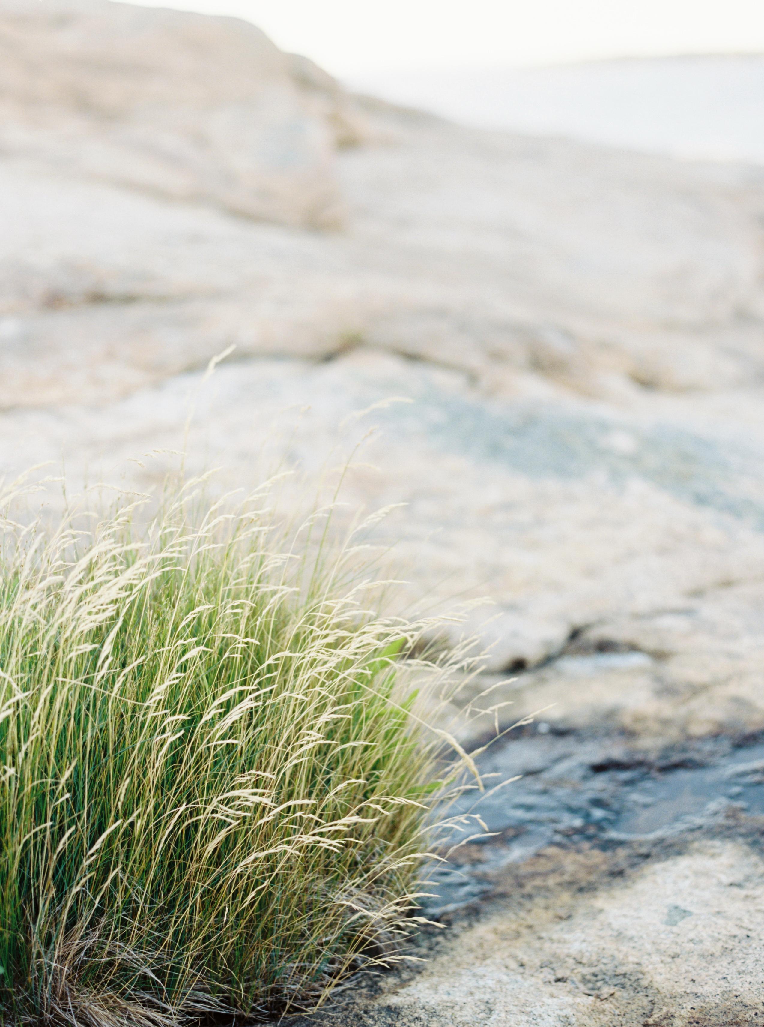 The Wedding Website of Molly Bullard and Daniel Morrison