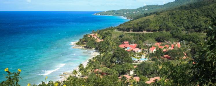 The Wedding Website of Dr. Sherree Coleman and Mr. LaWayne Scott