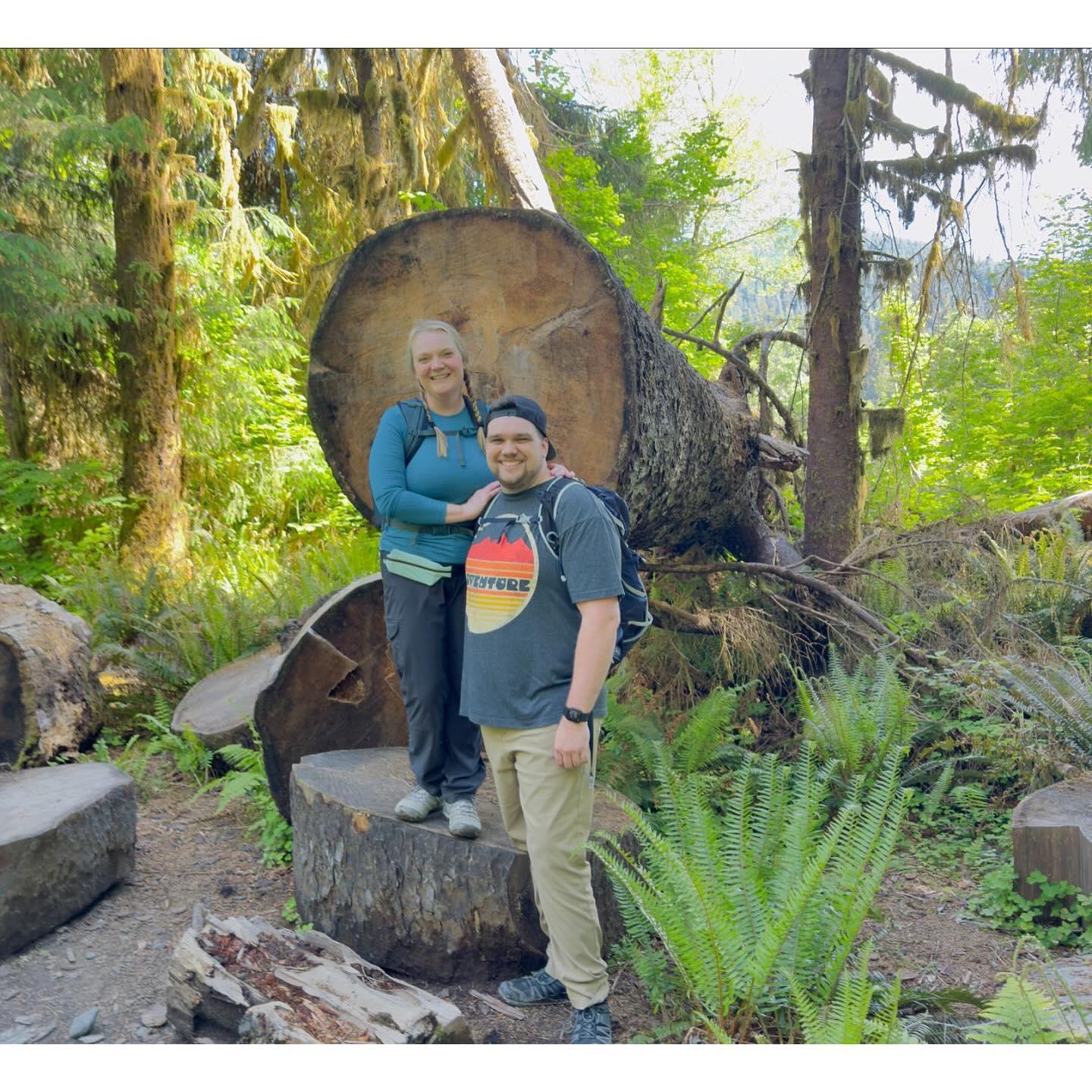 Hoh Rainforest Washington